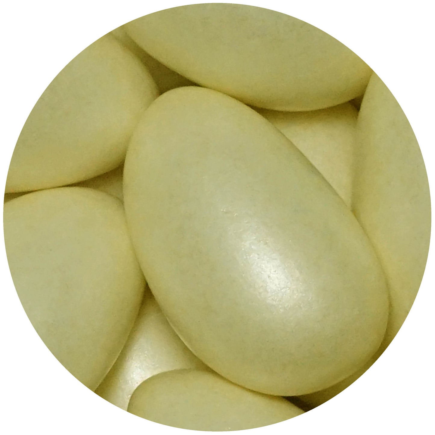 0,5kg Hochzeitsmandeln Conchiglia creme pearl