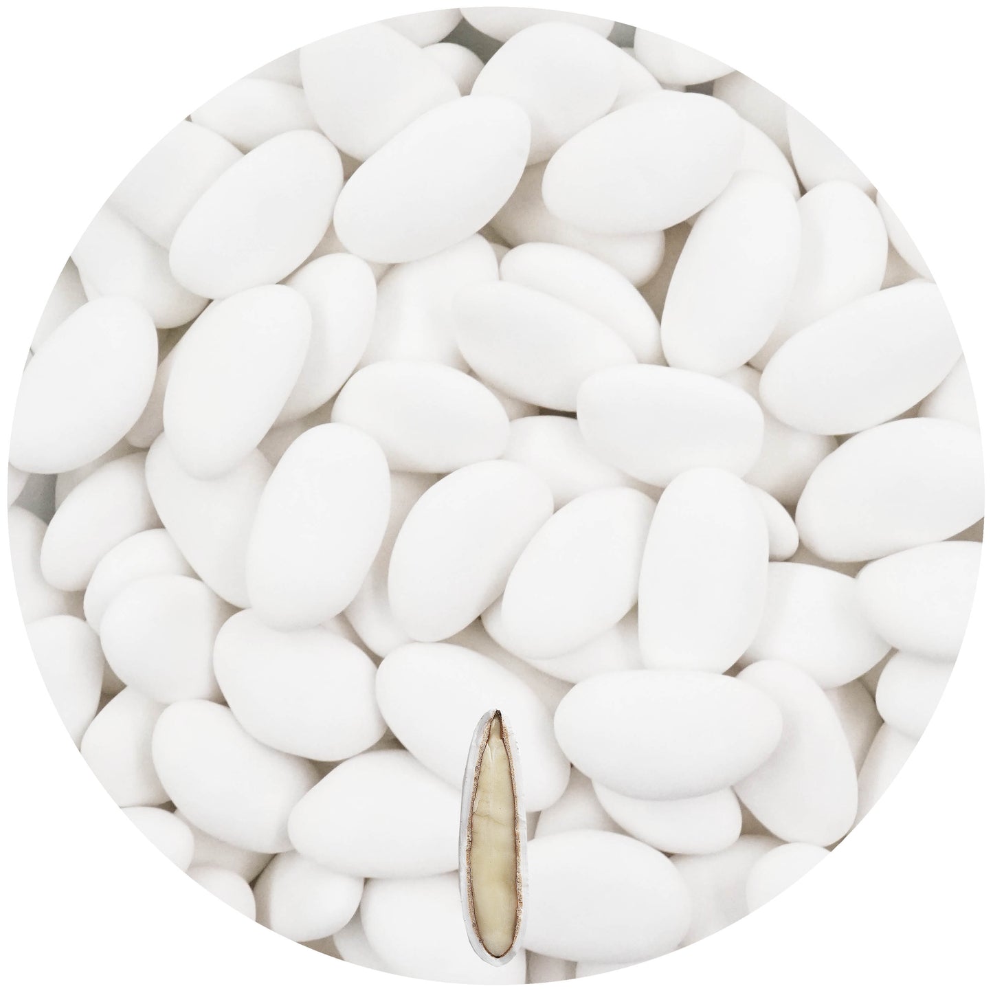 0,5kg Avola Exclusiva weiss matt