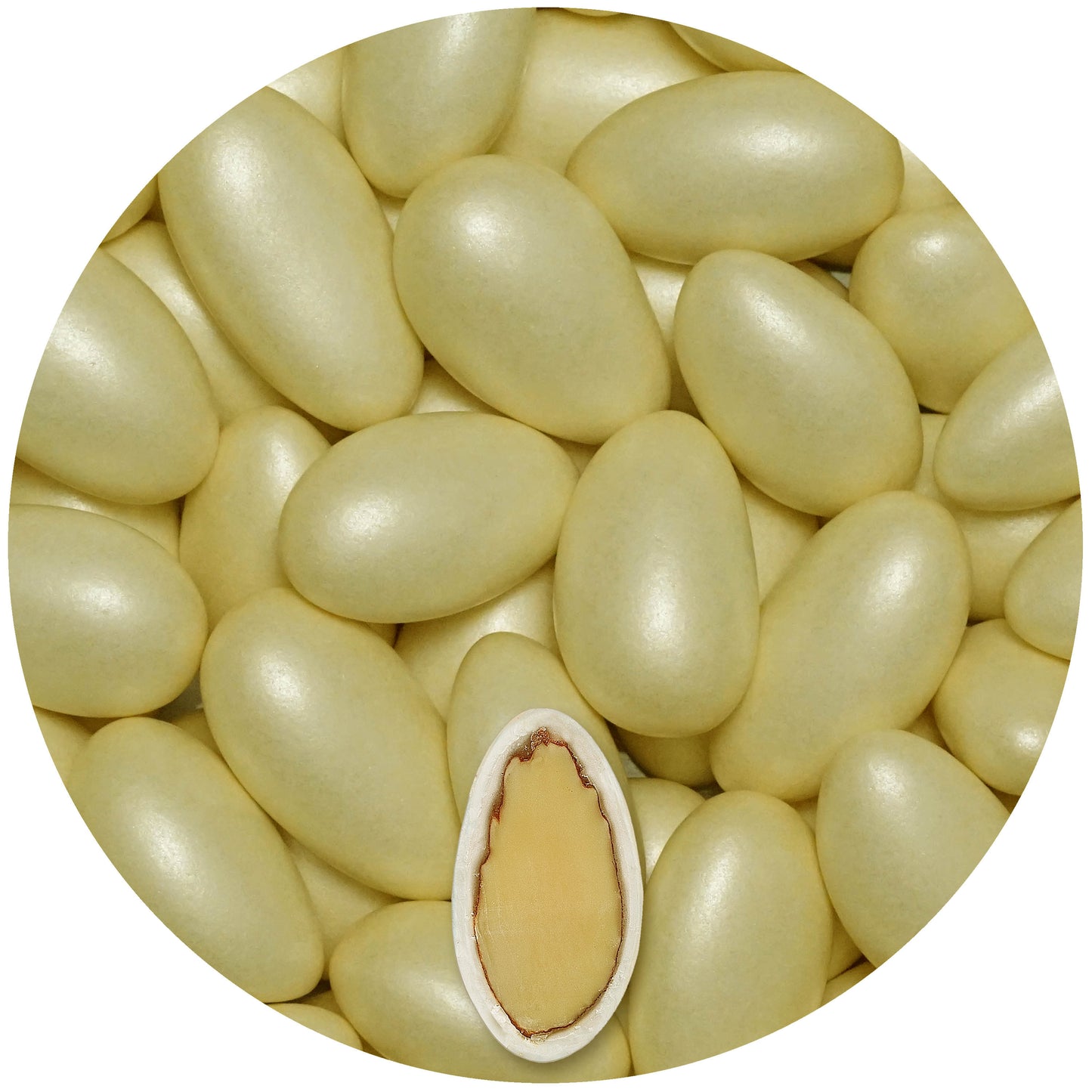 0,5kg Hochzeitsmandeln Conchiglia creme pearl